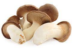Trumpet Mushrooms