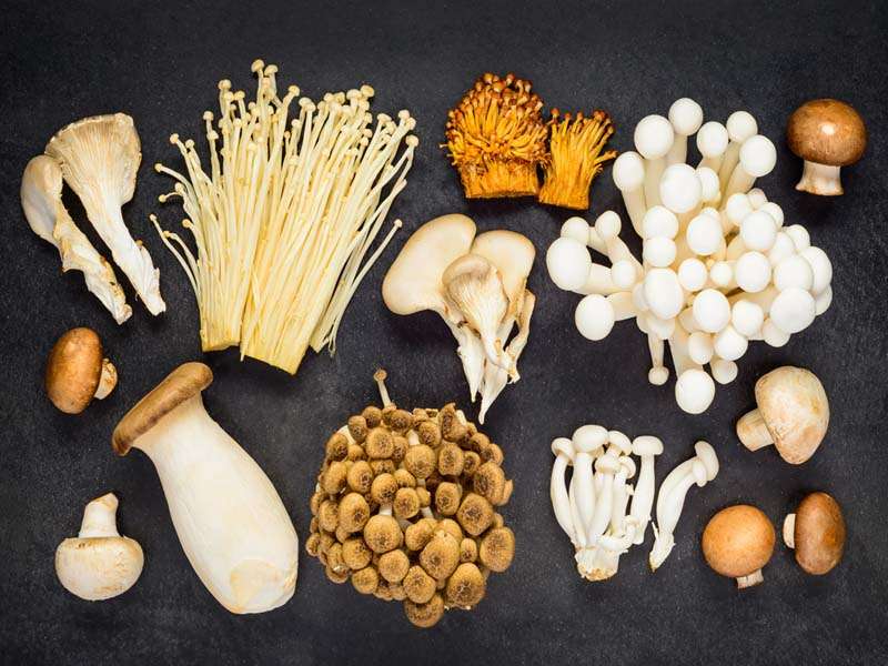 A Brief Guide to 6 Most Popular Mushroom Varieties